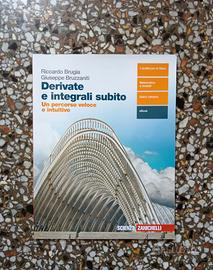 Derivate e integrali subito