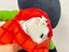 Immagine 3
