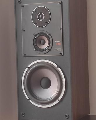 coppia Sony ss e50 (seas)