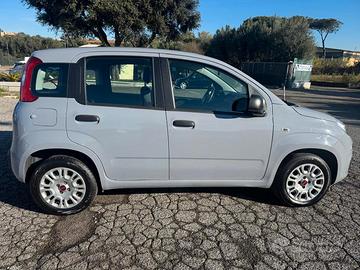 Fiat Panda 1.2 Easy s&s 69cv my19 PREZZO REALE