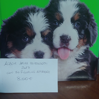 Album "Amici Cucciolotti 2017"