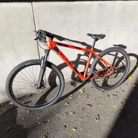Alpina flipper 27.5