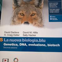 libri liceo classico 