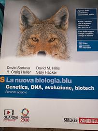 libri liceo classico 