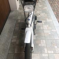Piaggio Ciao - 2021