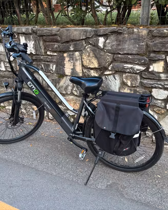bicicletta elettrica