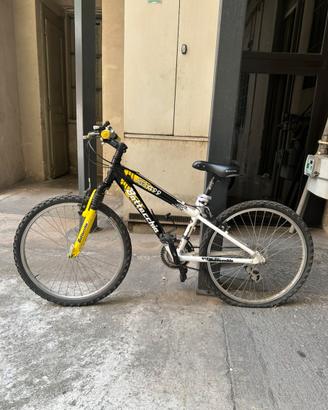 Mountain Bike ragazzi Bottecchia Crazy 99  24”