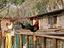 Immagine 6