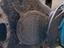 Immagine 3