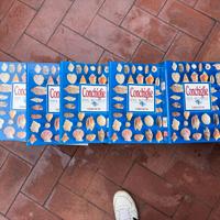 Collezione completa e rara “Conchiglie del Mondo”