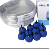 10 Pietre porose da 5 cm di diametro