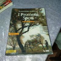 i promessi sposi. libro scuola superiore 