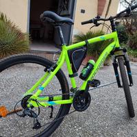 Bici MTB