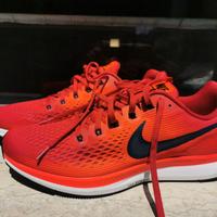 Nike zoom Pegasus 34 