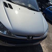 RICAMBI E MOTORE PEUGEOT 206