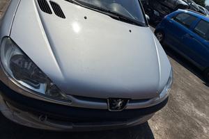 RICAMBI E MOTORE PEUGEOT 206