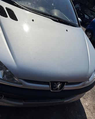 RICAMBI E MOTORE PEUGEOT 206