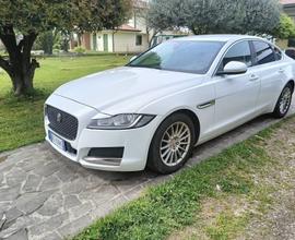 Jaguar XF 2.0 D E-Performance aut. Pure