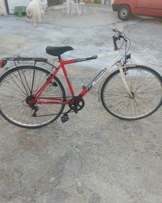 bicicletta da corsa. 