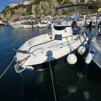 Barca Romar Bermuda 570