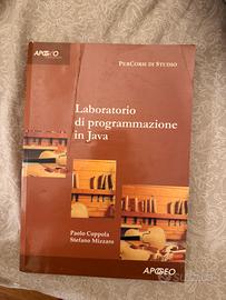 Libro laboratorio di programmazione in java