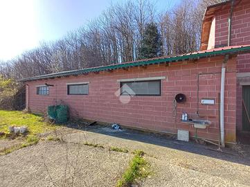 CASA INDIPENDENTE A BUSALLA