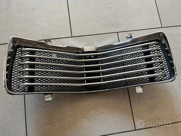 Mascherina para radiatore Goldwin Honda 1500