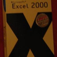 excel microsoft informatica Steven 2000 portatili 