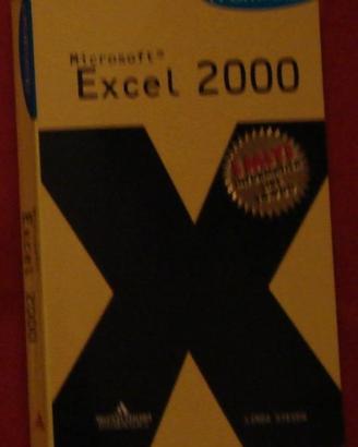 excel microsoft informatica Steven 2000 portatili 