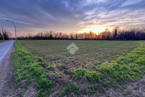 TER. AGRICOLO A ORNAGO