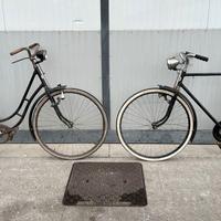 Bicicletta vintage da donna e da uomo Steyr