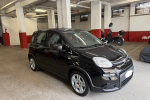 FIAT PANDA 1.0 HYBRID CITYLIFE
