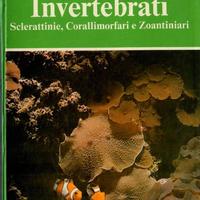 INVERTEBRATI (PETER WILKENS)