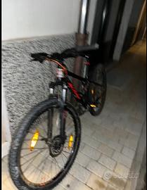 KTM 24 WILD SPEED