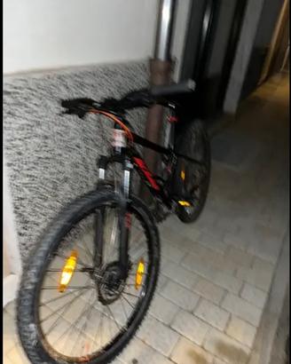 KTM 24 WILD SPEED