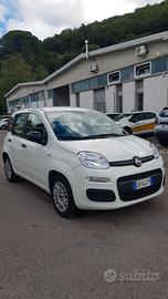 FIAT Panda 3ª serie - 2020