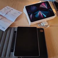 iPad pro 11  wifi  256gb