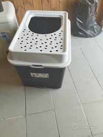 Lettiera per gatti