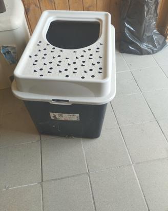 Lettiera per gatti