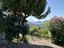 Immagine 22