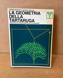 La geometria della tartaruga