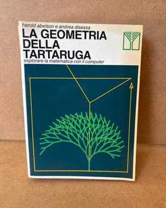 La geometria della tartaruga