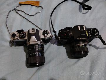 Nikon + Canon