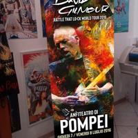 Espositore roll-up David Gilmour Pink Floyd "live