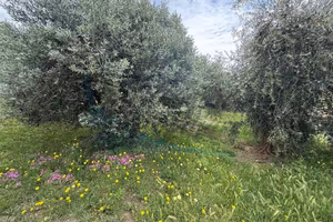 Appartamento di 145 m² con 5 locali a Rosignano Ma