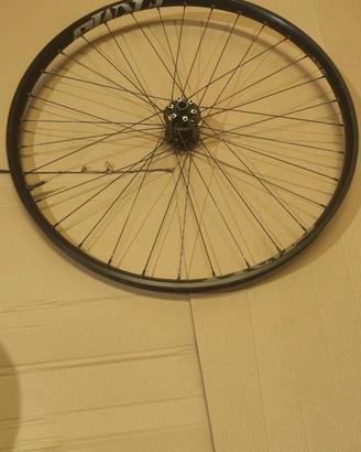 Ruota anteriore mtb 29 frm canale largo