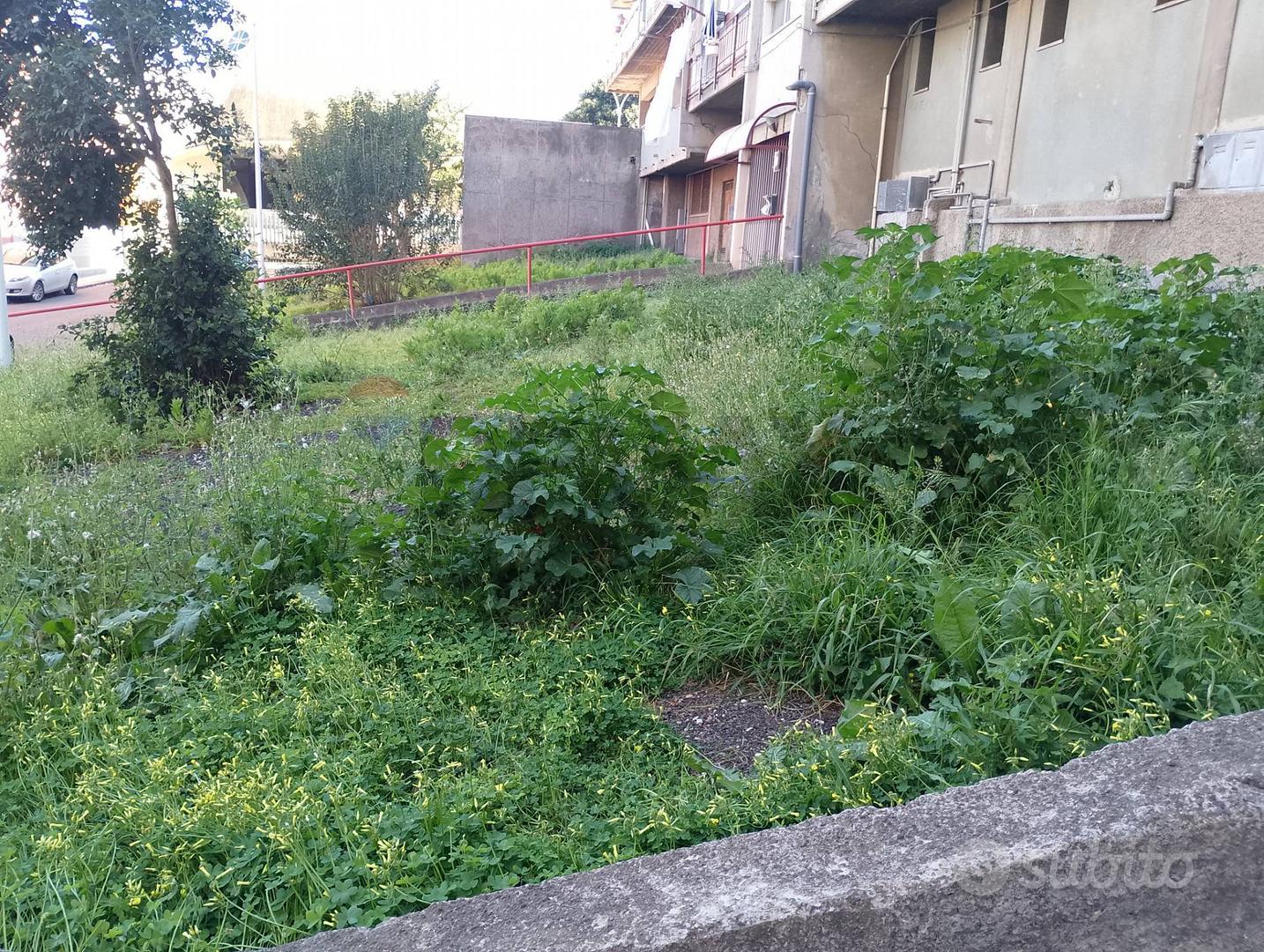 Appartamento – Catania, San Giuseppe la Rena - Vista 2