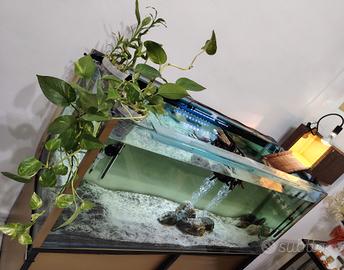 Acquario e tartarughe