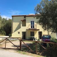 Casa tra gl ulivi vicino spiaggia palinuro