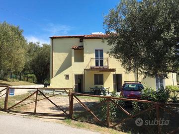 Casa tra gl ulivi vicino spiaggia palinuro
